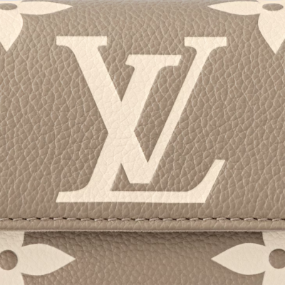 Louis Vuitton Wallet On Chain Ivy - Tourterelle Gray / Cream - Image 7