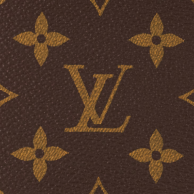 Louis Vuitton Wallet On Chain Ivy - Monogram Canvas - Image 7