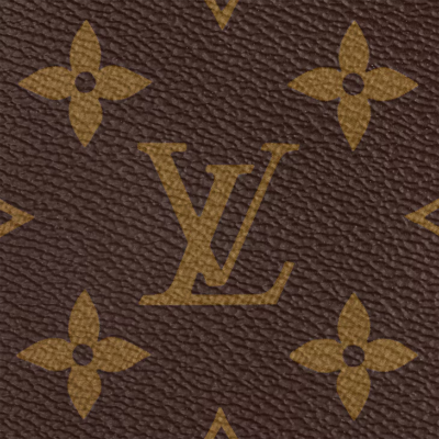 Louis Vuitton LV Twinny - Image 8